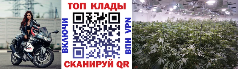 Купить закладку Калининец KRAKEN онион  АМФ  Гашиш  Мефедрон  Бошки Шишки 