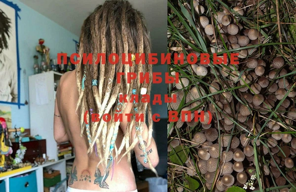 прущая мука Баксан