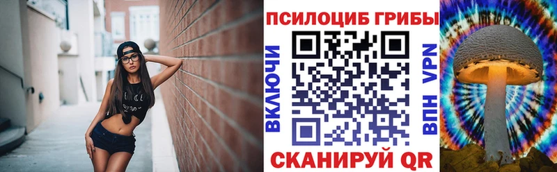 Галлюциногенные грибы прущие грибы Калининец